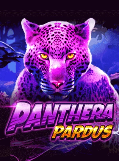 Cricket betting game cover